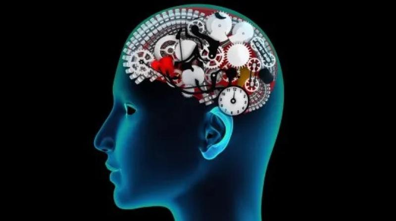 TALLER NEUROCOGNITIVO 